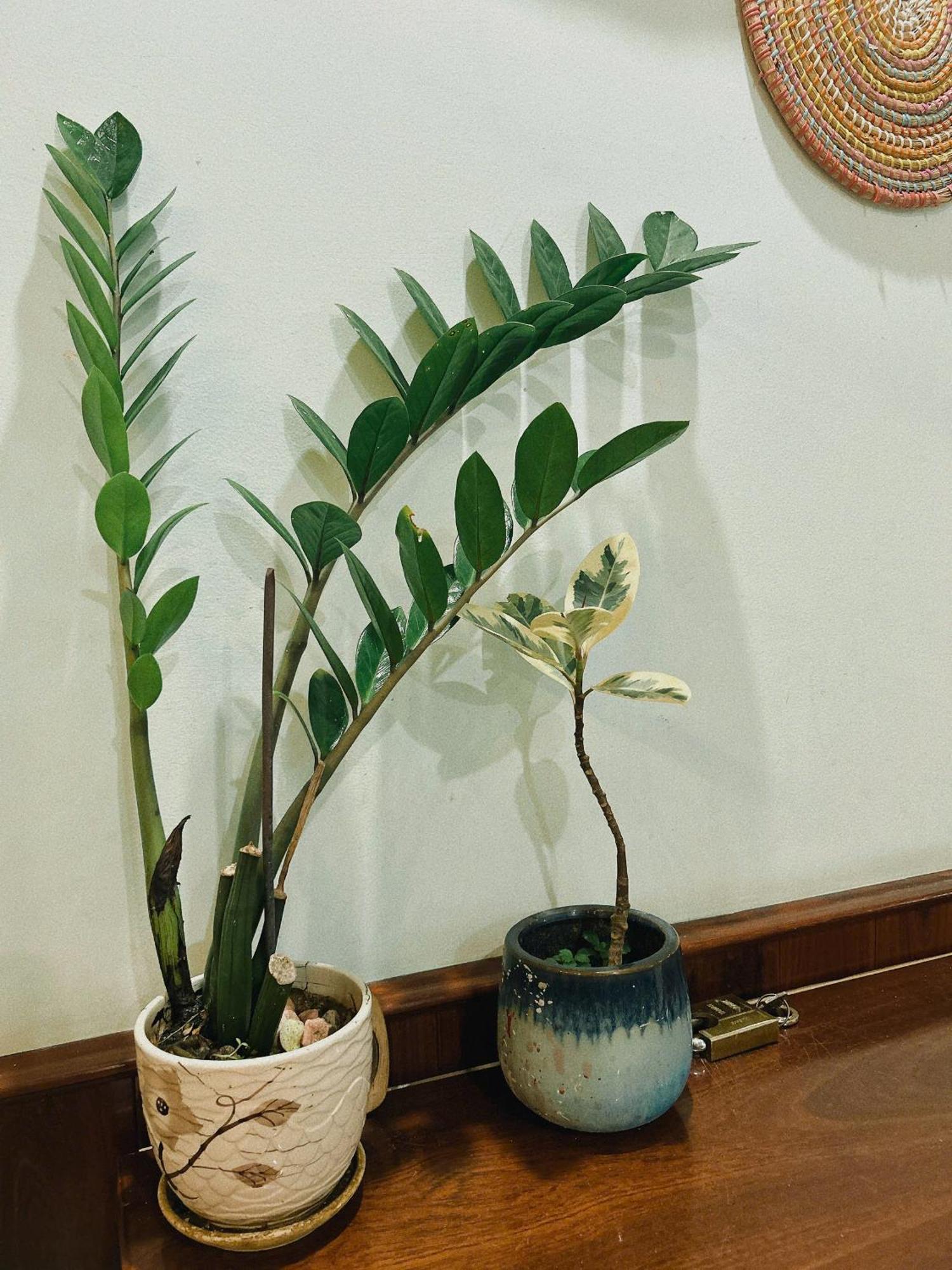 Nang Homestay Туй Хоа Екстериор снимка